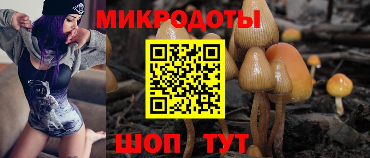 дарнет шоп  Галлюциногенные грибы Psilocybe  Курчалой  Вход с VPN  Псилоцибиновые грибы Cubensis 